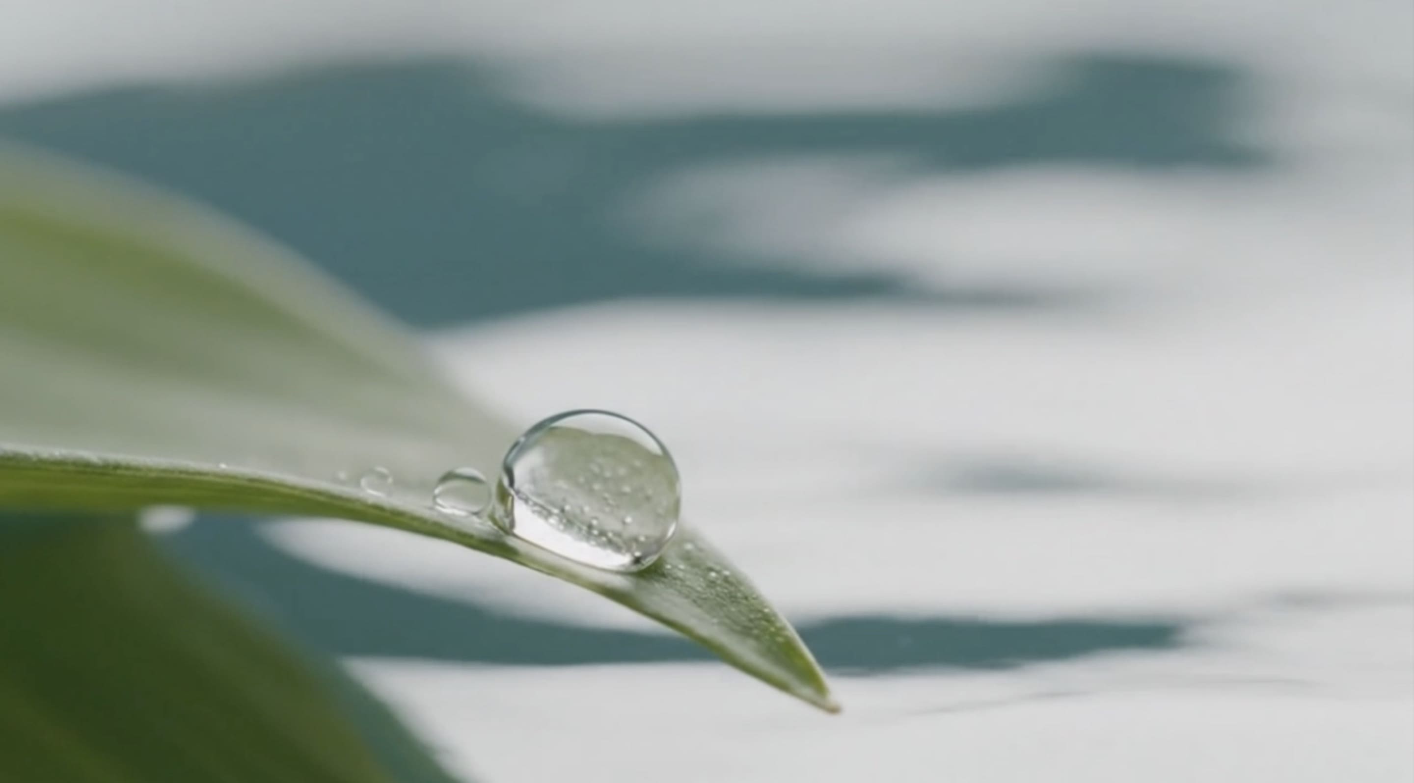 Video poster background