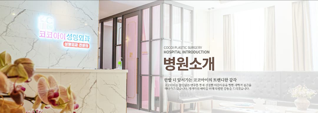 COCOI Plastic Surgery facility in Gangseo-gu, Seoul - Premium medical and aesthetic services