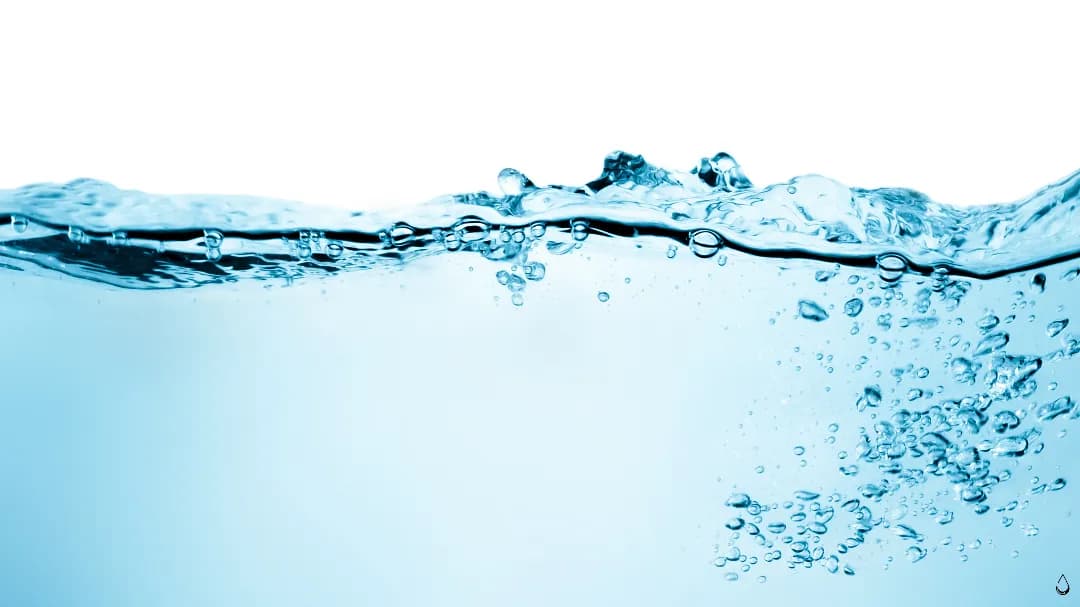 Evia clinic facility in Jung-gu, Seoul - Designing the Breath of Nature.