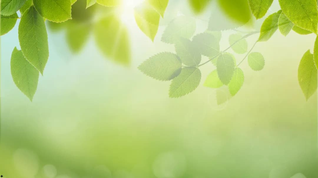 Dr.designer facility in Yeongdeungpo-gu, Seoul - Extensive experience, proven expertise — it's time to begin your transformation.